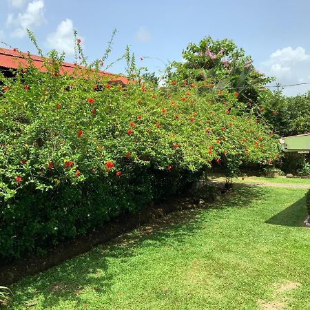 Casona Tica Linda Hotel Sarapiqui Ngoại thất bức ảnh