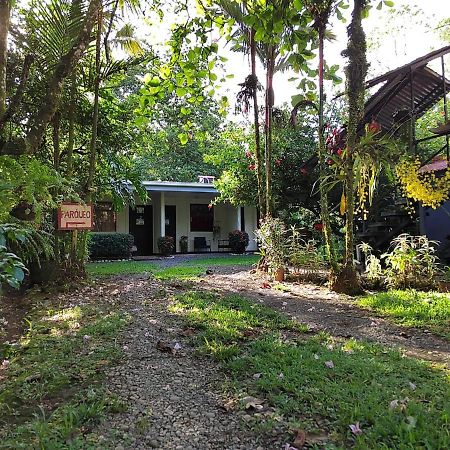 Casona Tica Linda Hotel Sarapiqui Ngoại thất bức ảnh