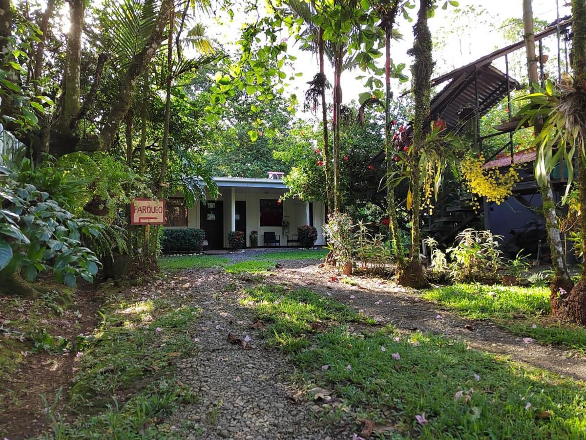 Casona Tica Linda Hotel Sarapiqui Ngoại thất bức ảnh